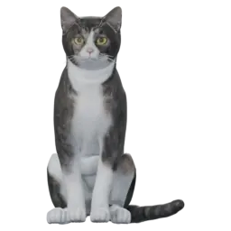 Mochi, a round British Shorthair cat companion, in its idle animation